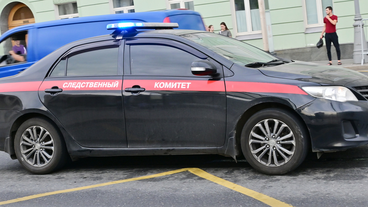 Бастрыкин поручил возбудить дело о гибели парня в ДТП с мигрантом в Новосибирске