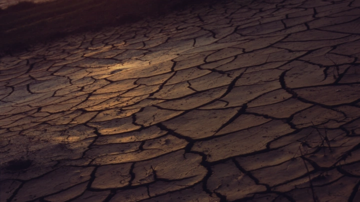 Выживут одни микробы: учёные озвучили зловещий прогноз кислородного апокалипсиса