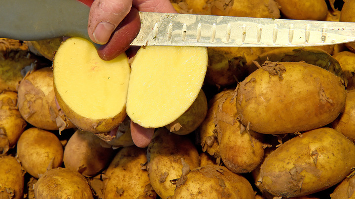 Картофель назвали средством исцеления от гепатита B