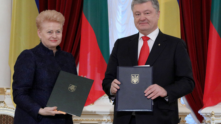 Порошенко получил высшую госнаграду Литвы