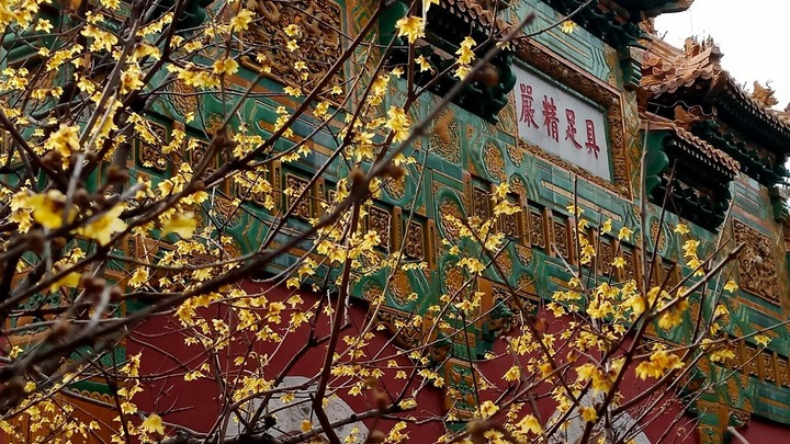 Восемь лет и $246 млрд: Китай объявил о важной победе