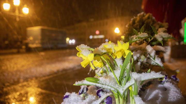 Чудовище с Востока угрожает Европе. Добрый волшебник готов прилететь из России