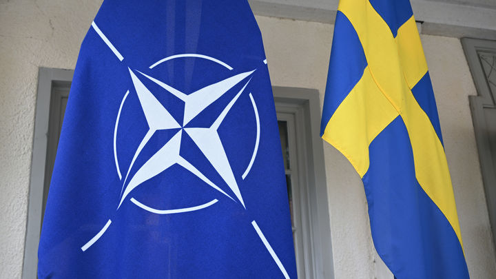 Российский сенатор предостерёг Финляндию и Швецию от вступления в НАТО: Превращаетесь в цель
