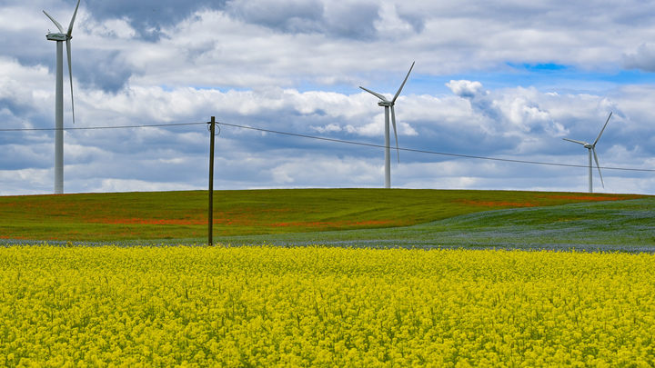 Разбой выгоднее экологии: Игорь Сечин раскрыл причину отказа Запада от зелёной энергетики