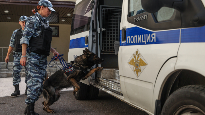 Житель Мелитопольского района спрятал боеприпасы в печи