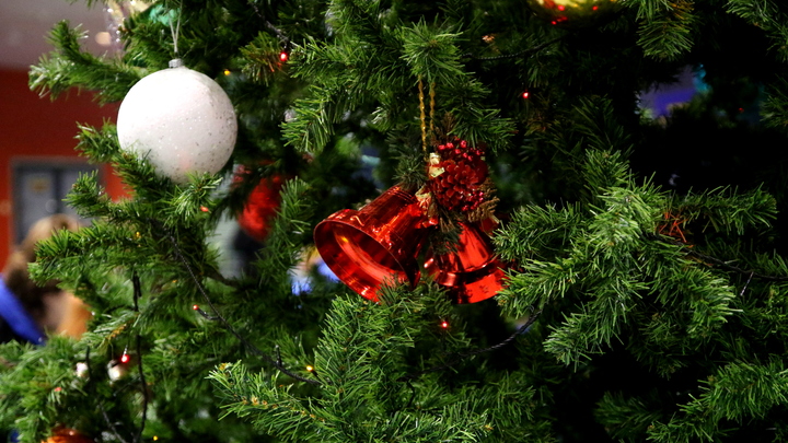 В Краснодаре вырос спрос на декораторов