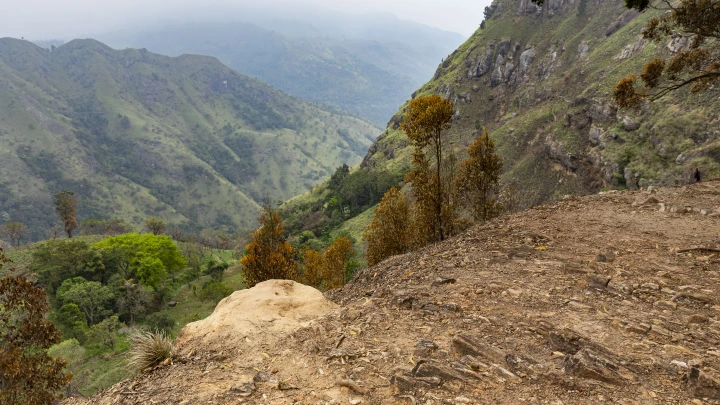 На Шри-Ланке упал вагон канатной дороги с буддийскими монахами: Среди погибших - гражданин России