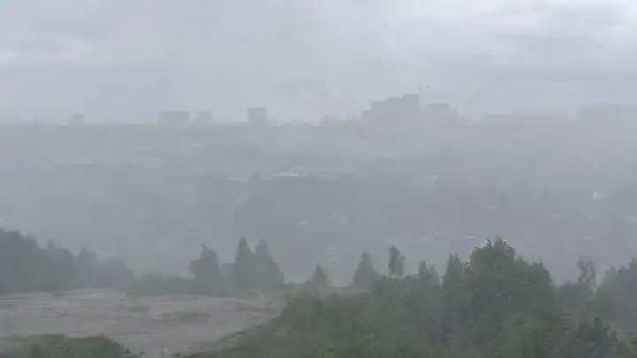 Снегопад обрушился на Новосибирск за несколько дней до календарного лета