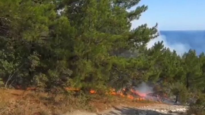 Крупный пожар в лесу Геленджика потушен