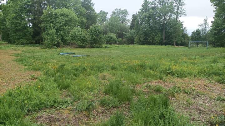 В Пушкино девочка погибла из-за упавших на нее футбольных ворот