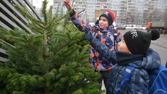 что случилось на коломенской сейчас. Смотреть фото что случилось на коломенской сейчас. Смотреть картинку что случилось на коломенской сейчас. Картинка про что случилось на коломенской сейчас. Фото что случилось на коломенской сейчас