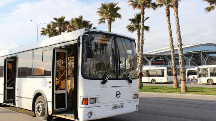 В  2022 году в Сочи у некоторых автобусных маршрутов изменят нумерацию