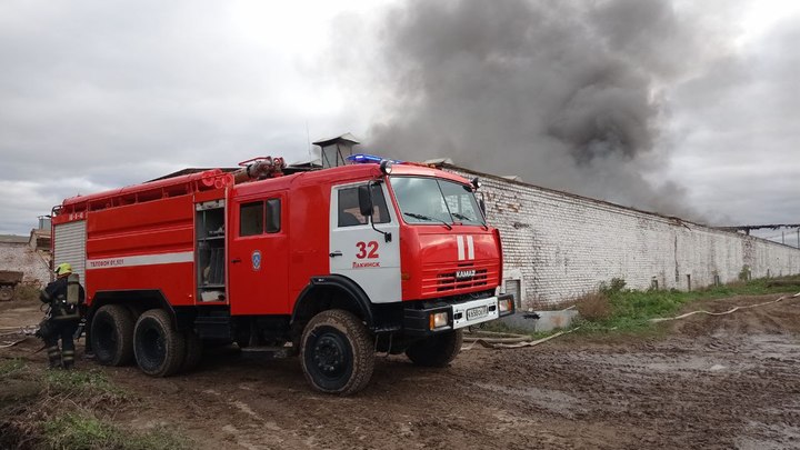 Теперь без яиц: в Собинском районе сгорело оборудование птицефабрики