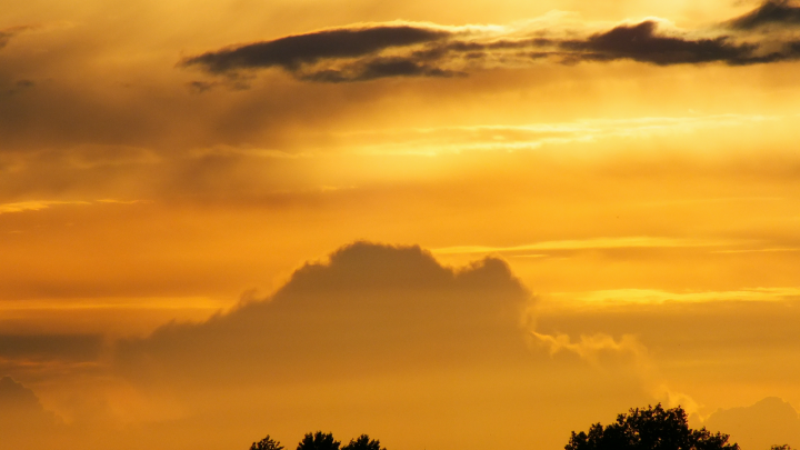 Предсказавшая убийство Кеннеди американка предрекла России новую войну в 2025 году