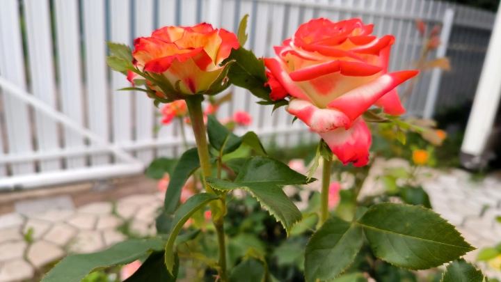 Забор — дело серьёзное: Юрист рассказал дачникам, за что можно угодить под суд