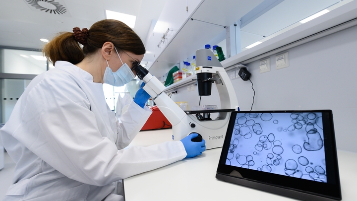 Плохие волосы оказались признаком опасной болезни