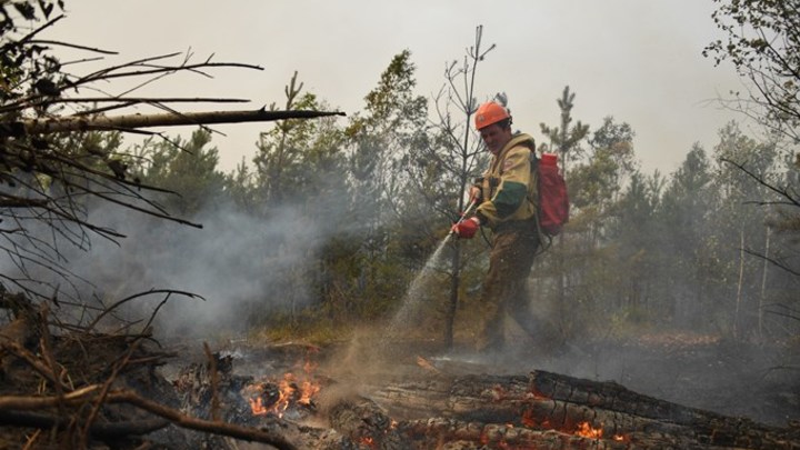 Губернатор Сергей Цивилев утвердил план тушения лесных пожаров в Кузбассе