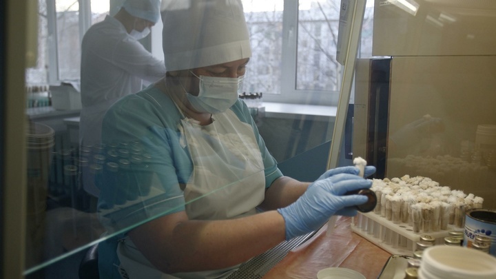 Коронавирус в Ростовской области - последние новости на сегодня, 2 августа 2020. Жертв уже 233