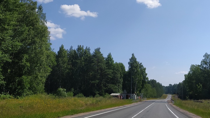 В Арзамасе иномарка сбила ребёнка на велосипеде