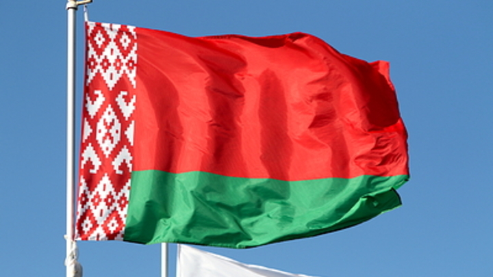 Белорусы спасли многодетную русскоязычную семью из Латвии