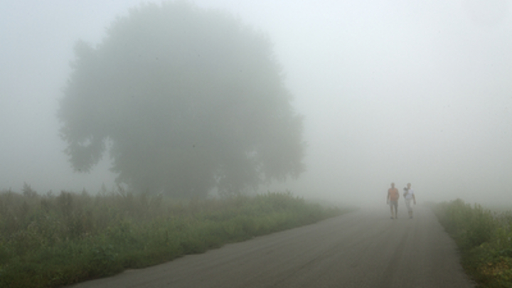 Молодое бабье лето: Синоптик рассказал о сроках потепления в Москве