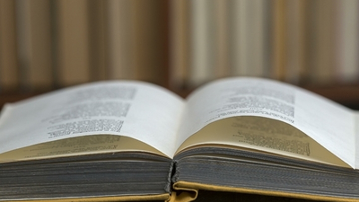 Игры времён Петра I и кино под открытым небом: В Петербурге открываются Книжные аллеи