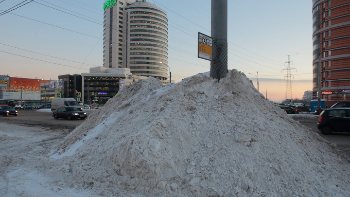 Чиновники отчитали жителей Петербурга, недовольных уборкой снега: Войдите в положение
