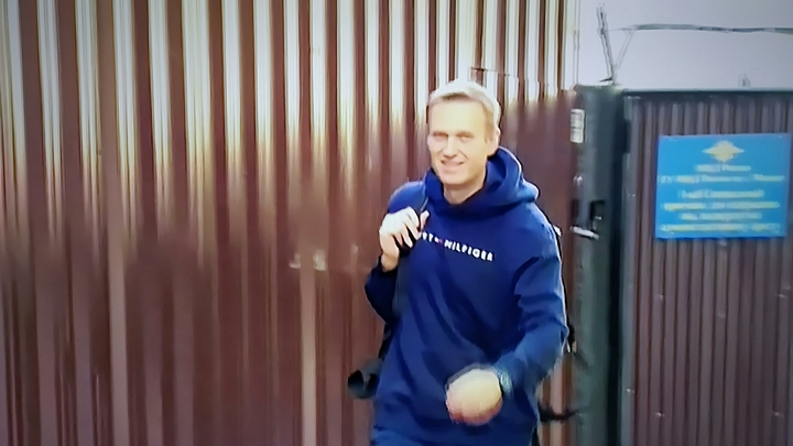 Очевидна вероятность подтасовки: Озвучен полный список нестыковок расследования Навального