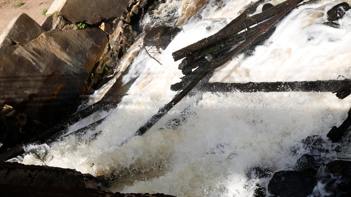 На Кубани вода Варнавинского водохранилища окрасилась в яркий цвет