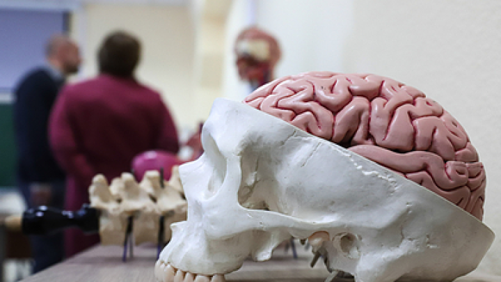 Илон Маск о бунте мозга: почему технологии Neuralink не приживаются