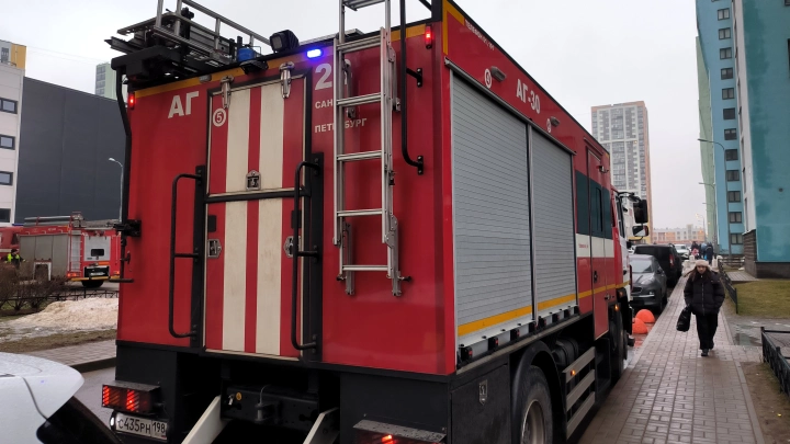 Пожарные спасли десять минипигов из горящей квартиры в Балашихе