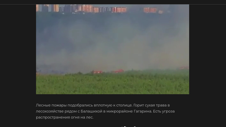 Природные пожары перекинулись на Московскую область