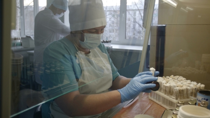 Власти Кузбасса признали проблему хамского отношения врачей к пациентам