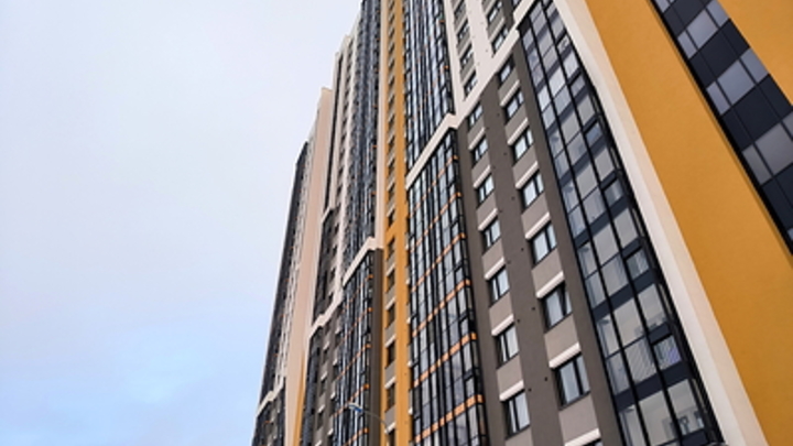 Мигранты-уголовники выгнали мать с шестью детьми из дома. Органы не стерпели