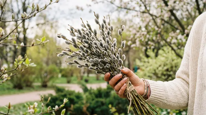 Вербное воскресенье: смысл праздника перед Пасхой
