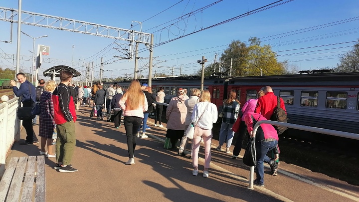 В Петербурге резко выросла смертность от коронавируса