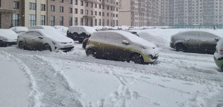 В Ленинградской области за ночь образовались почти метровые сугробы