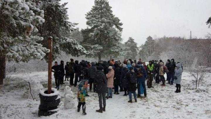 Генпрокуратура поддержит запрет на стройку в бору Челябинска