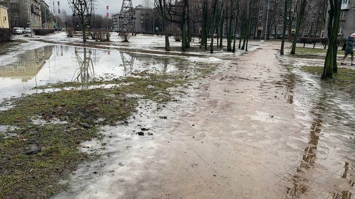 Главный синоптик Петербурга рассказал о самом неприятном в сегодняшней погоде