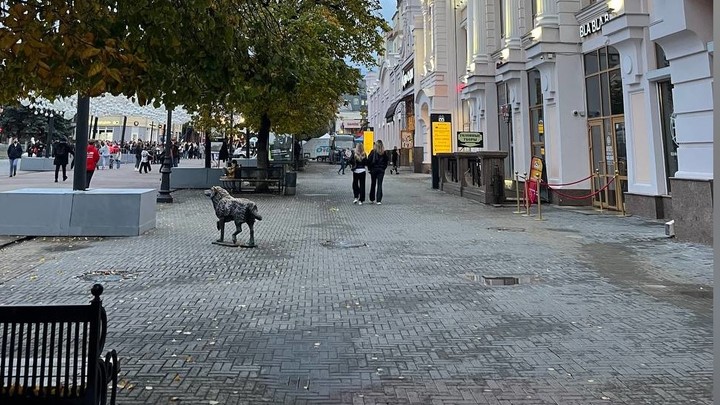 В центре Челябинска полиция задержала неадеквата