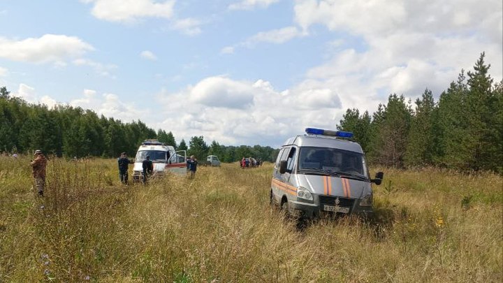 По болотам и бездорожью: в Челябинской области разыскивают заблудившуюся пенсионерку