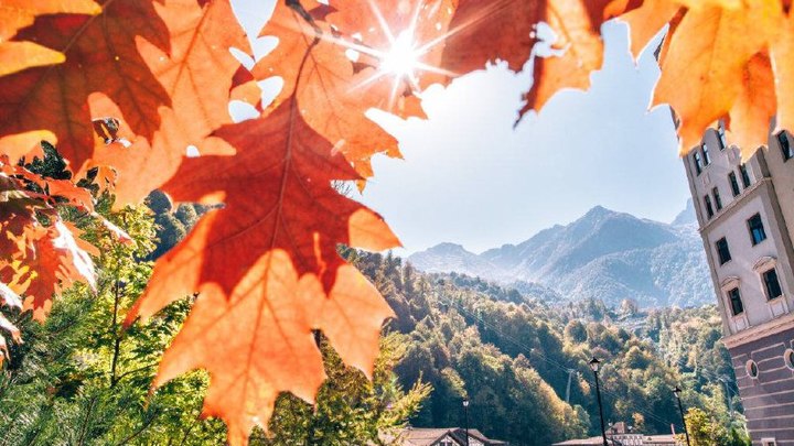 В Сочи в ноябре ожидают высокую загрузку в отелях