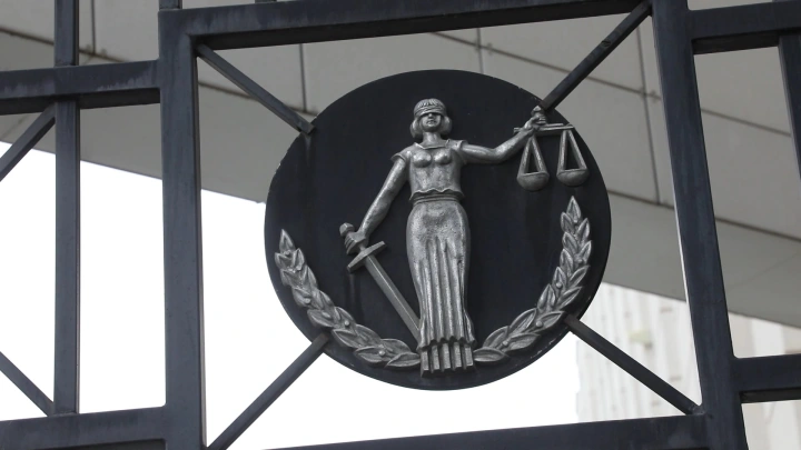 Мошенники - не проблема покупателя: Стали известны подробности решения суда по делу Долиной