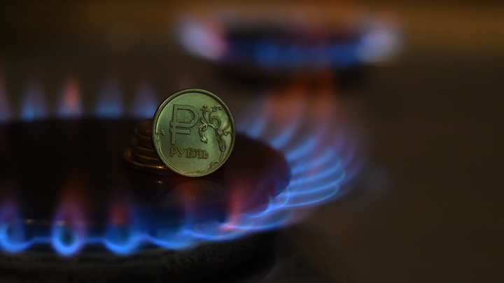Как выжить зимой без русского газа: МЭА готовит Европу к худшему сценарию