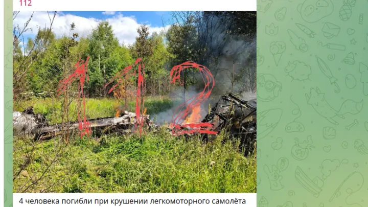 Четыре человека погибли при крушении легкомоторного самолета в Подмосковье