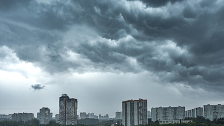 МЧС предупредило новосибирцев о штормовом ветре до 23 м/с