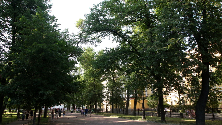 Петербургские парки закрывают из-за сильного ветра