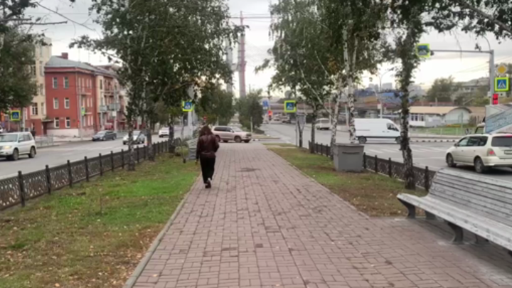 В Новосибирске вырубят ветхие деревья на аллее Красного проспекта