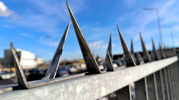 Врач объяснил, почему 18-летняя Надежда из Мокино не имела шансов выжить, напоровшись на забор