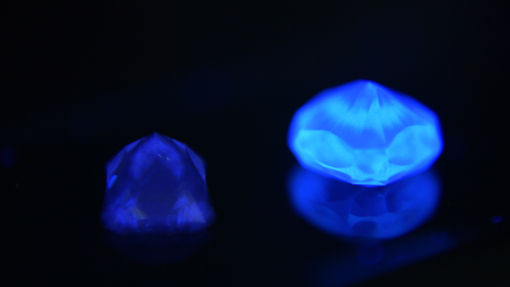 Сначала Франция, потом Бельгия. Европейцы потянулись к России в поисках красивой жизни